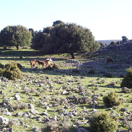 Agriturismo Didone Dorgali Eksteriør billede