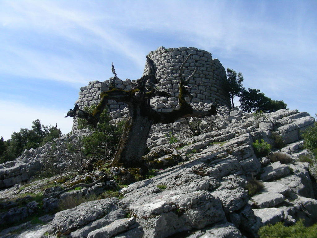 Agriturismo Didone Dorgali Eksteriør billede